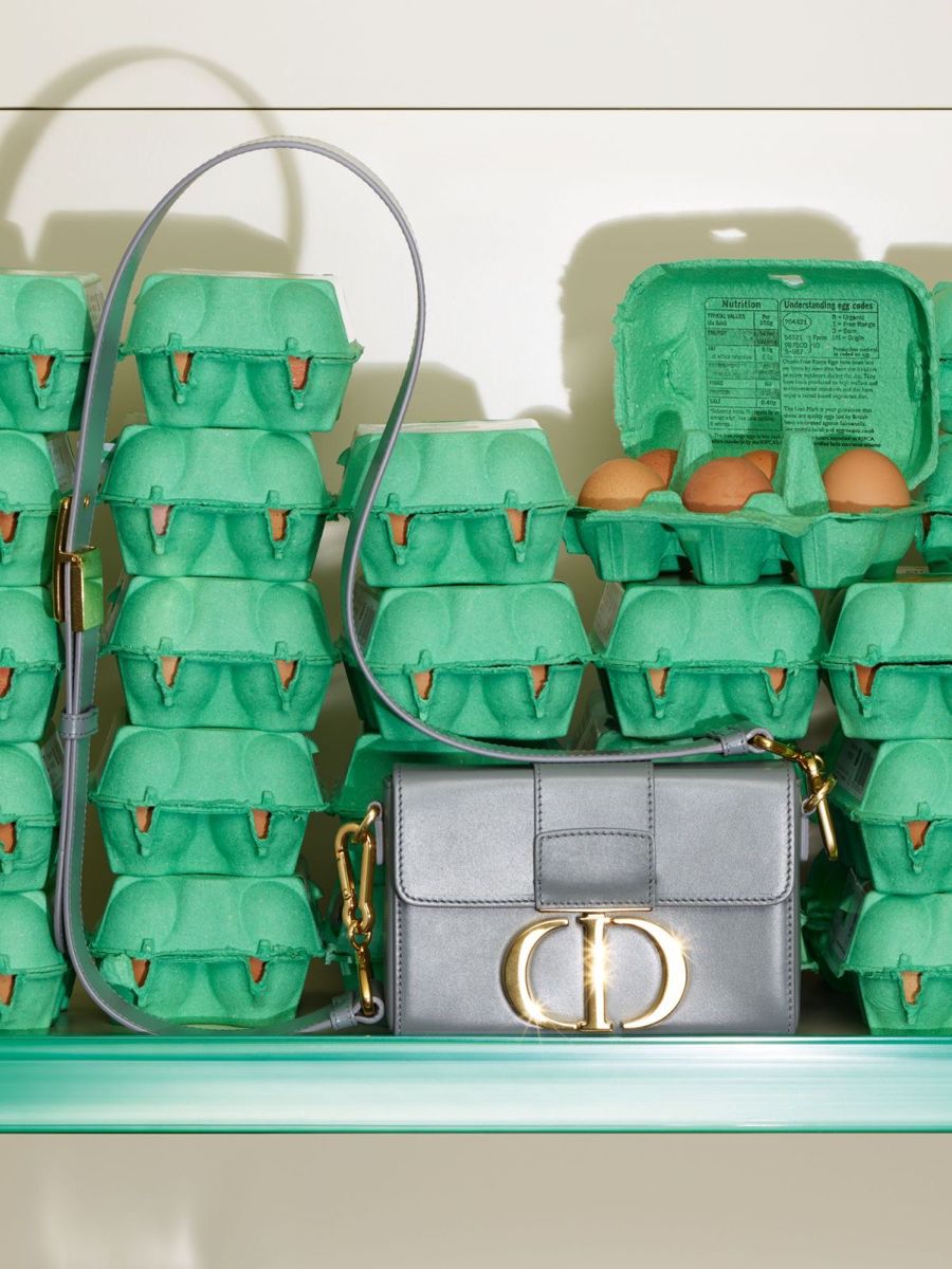Clean refrigerator interior light — Dior bag nested in green egg cartons